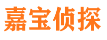 连云寻人公司